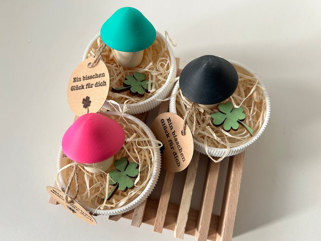 Glückspilz – Dein kleines Stück Glück 🍀